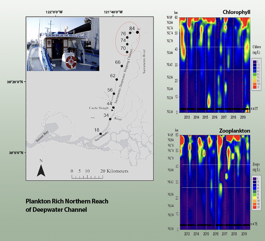 food in deepwater channel