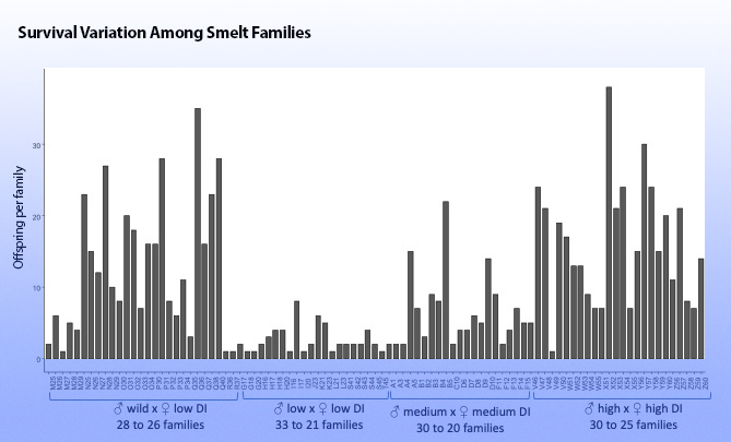 griffith smelt chart =