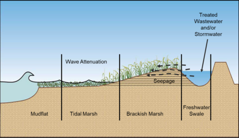 First Mile Horizontal Levee - San Francisco Estuary Partnership