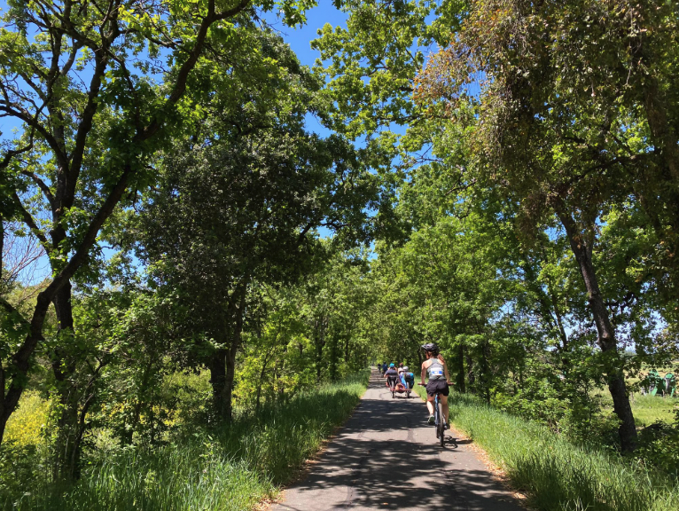 Palo Alto Horizontal Levee Project